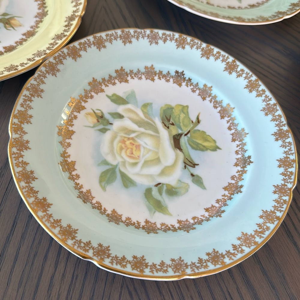 Lovely set of 5 Bine China Luncheon Plates rose pattern Made in England